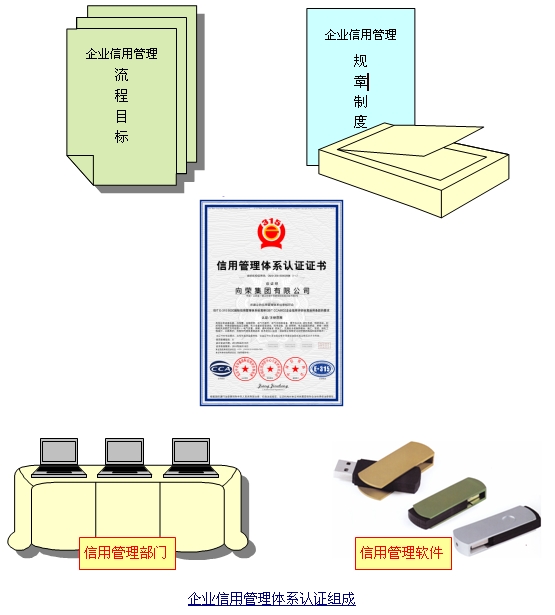 国内常见的企业信用信息化管理体系创建服务
